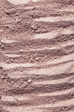 powder-to-foam face cleanser | summer